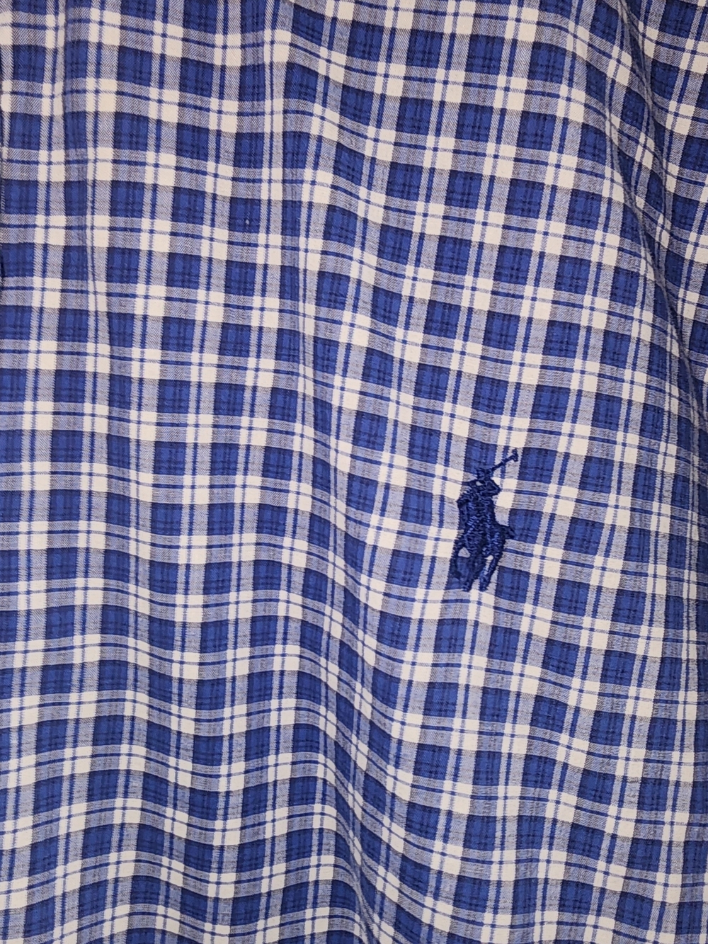 Ralph Lauren Blue and White Plaid Short Sleeve Button-Down Shirt - Picture 2 of 4
